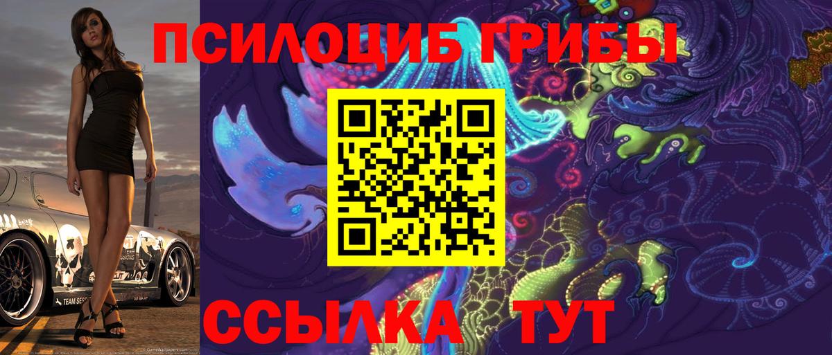 Псилоцибиновые грибы Cubensis Тула