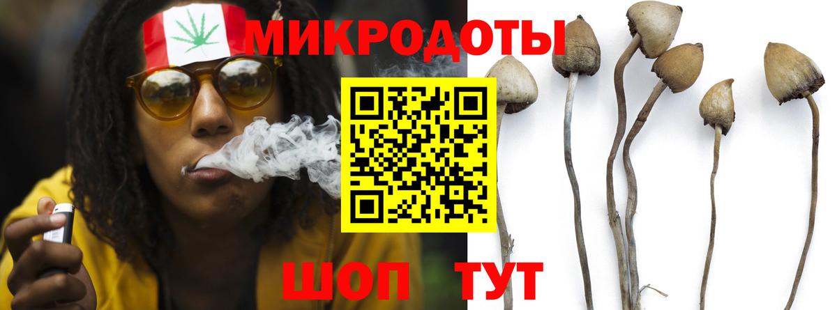 Тула  Псилоцибиновые грибы мицелий  Вход с VPN 